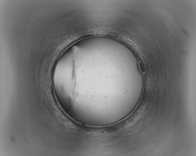 X0000112460673200908311330