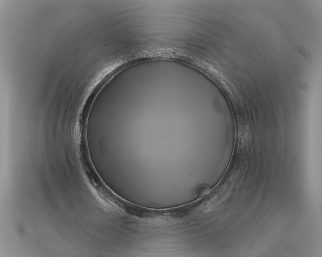 X0000112460674200908311330