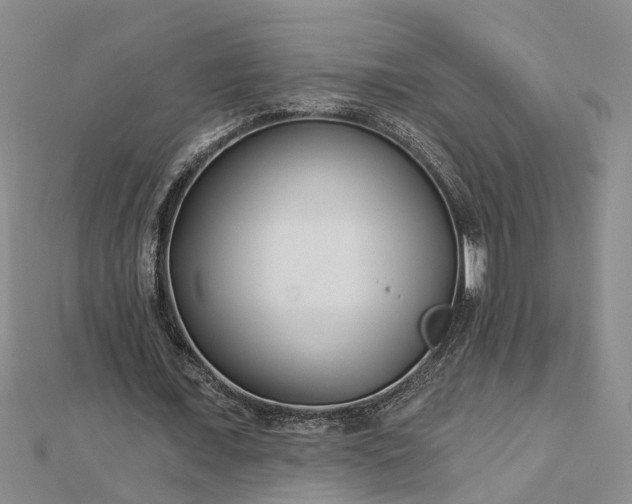 X0000112460675200908311330