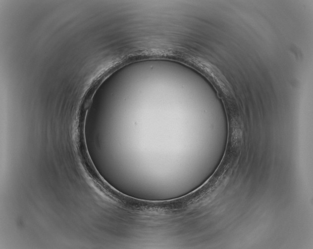 X0000112460677200908311330