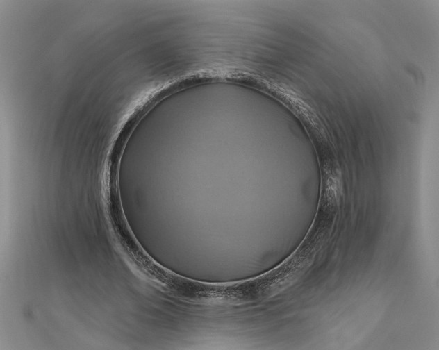 X0000112460678200908311330