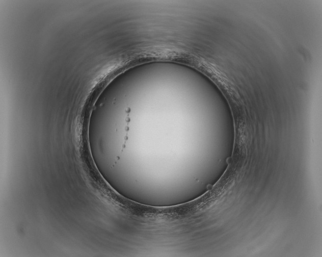 X0000112460679200908311330