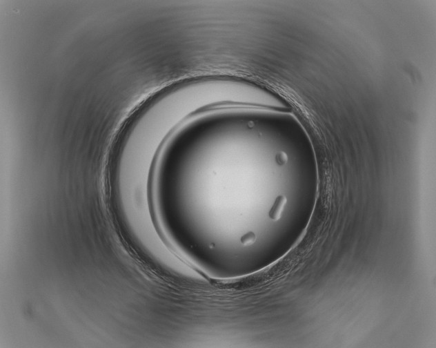 X0000112460680200908311330