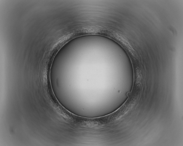 X0000112460681200908311330