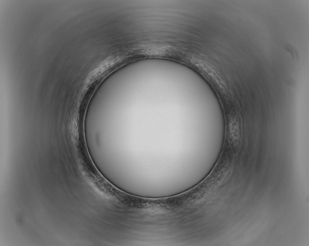 X0000112460682200908311330