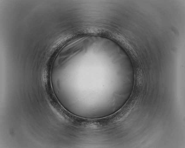 X0000112460683200908311330