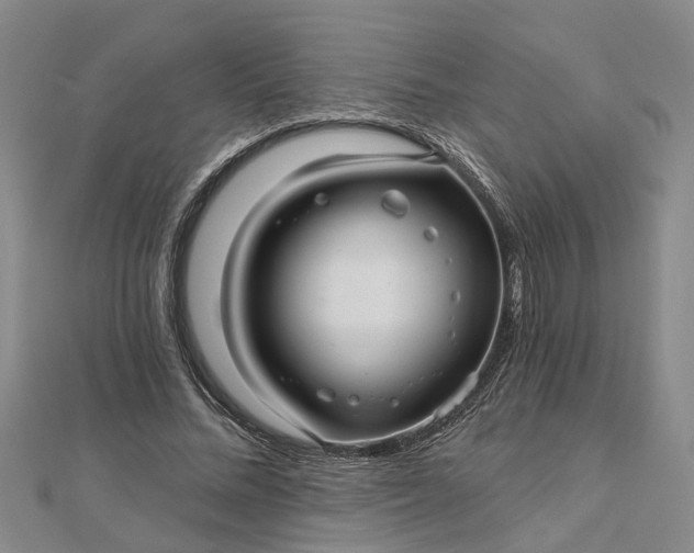 X0000112460684200908311330