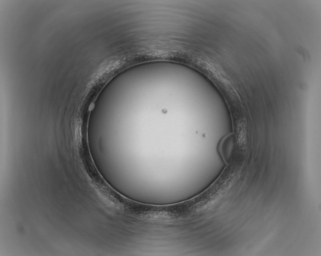 X0000112460685200908311330