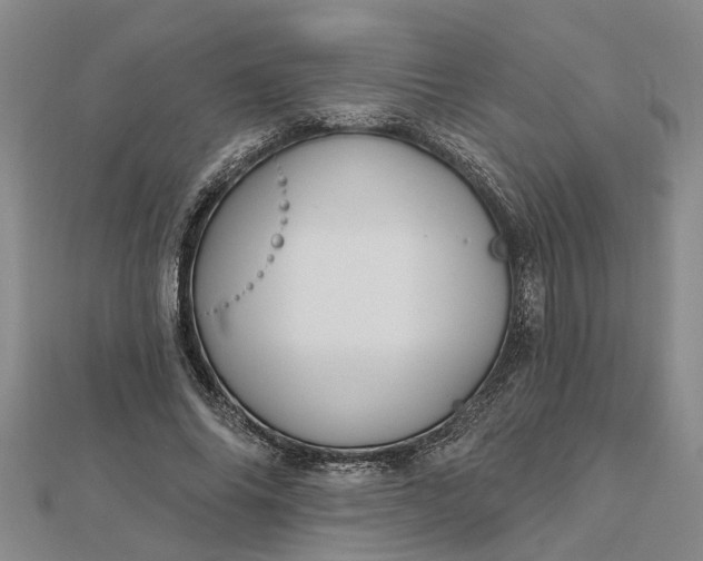 X0000112460686200908311330