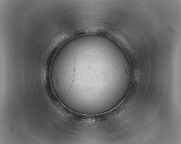 X0000112460687200908311330