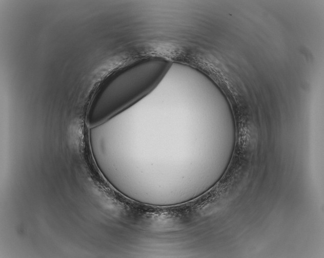 X0000112460688200908311329