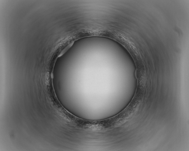 X0000112460689200908311329