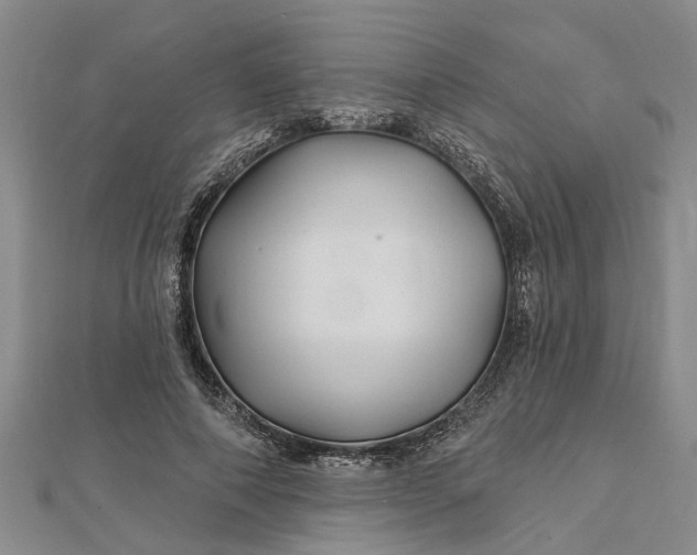 X0000112460690200908311329