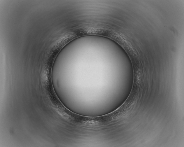 X0000112460691200908311329