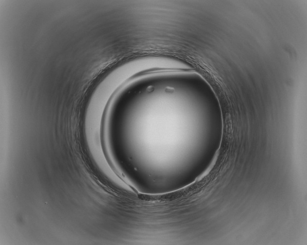 X0000112460692200908311329