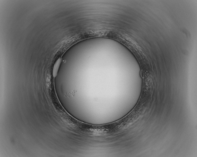 X0000112460693200908311329