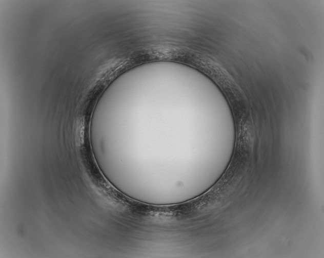 X0000112460694200908311329