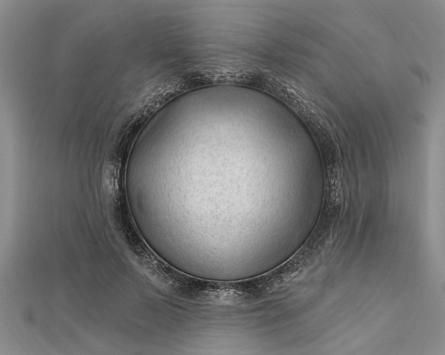 X0000112460695200908311329