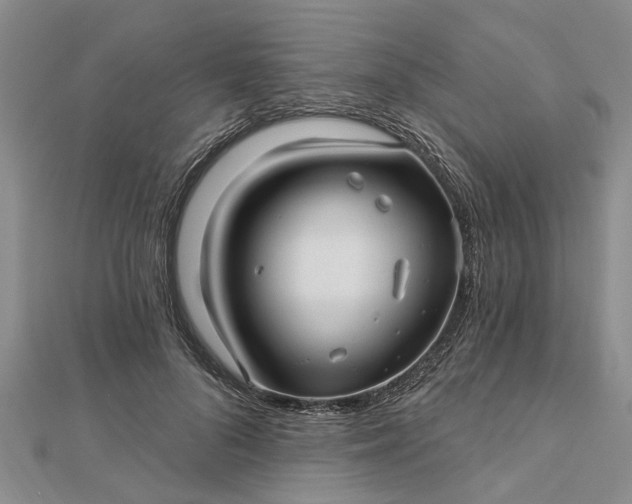 X0000112460696200908311329