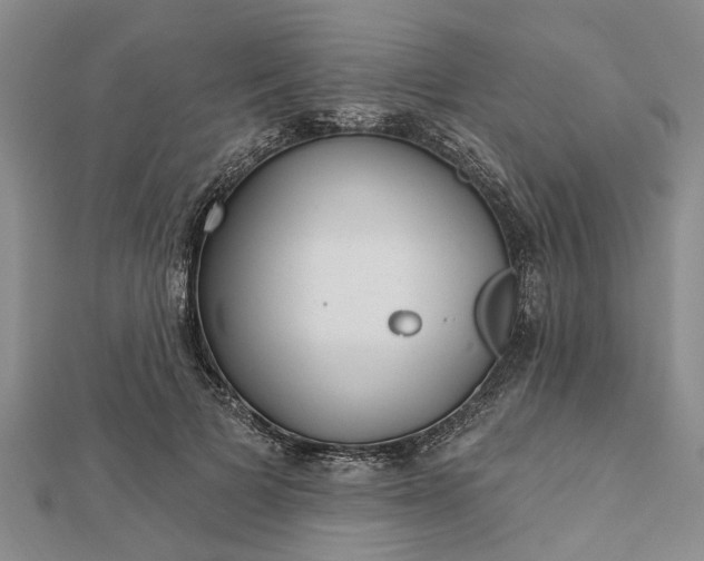 X0000112460697200908311329