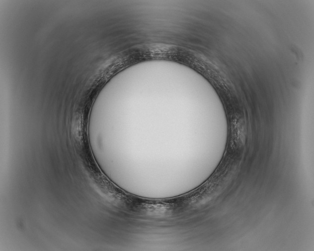 X0000112460698200908311329