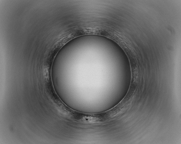 X0000112460699200908311329