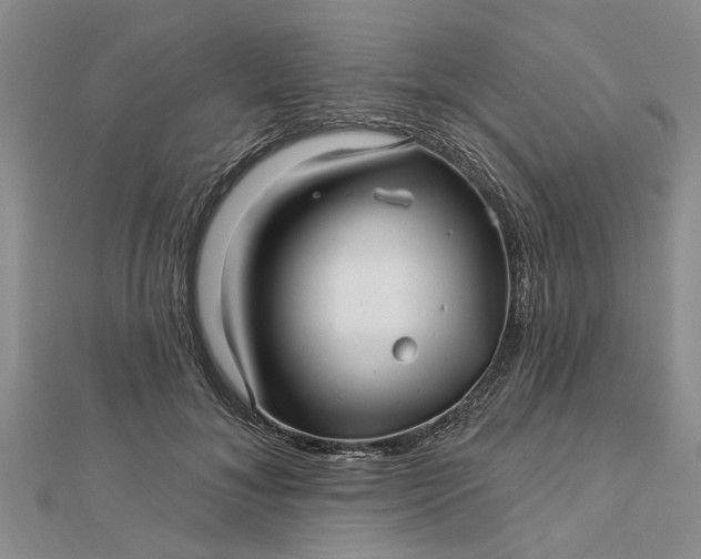 X0000112460700200908311329