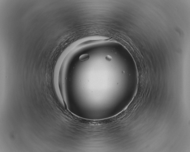 X0000112460701200908311329