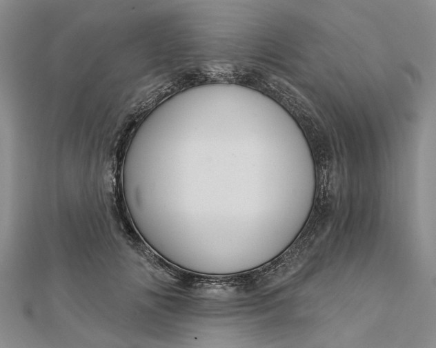 X0000112460702200908311329