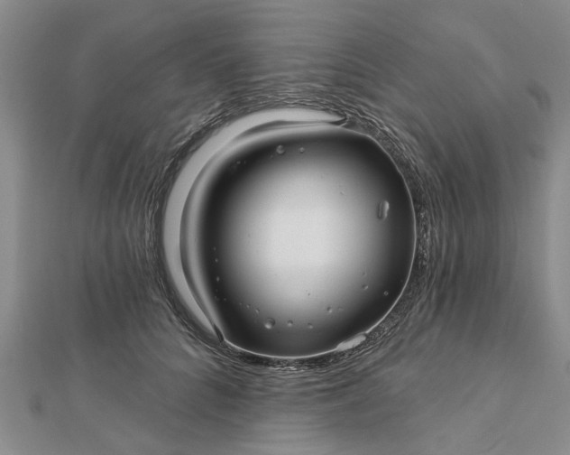 X0000112460704200908311329