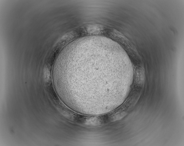 X0000112460705200908311329