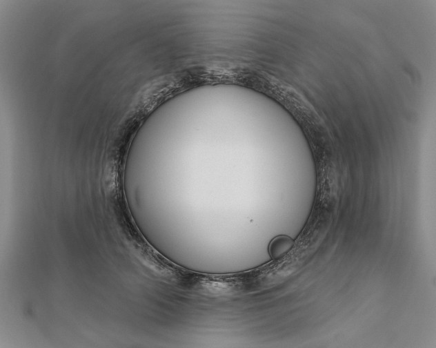 X0000112460706200908311329