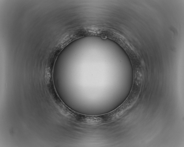 X0000112460707200908311329