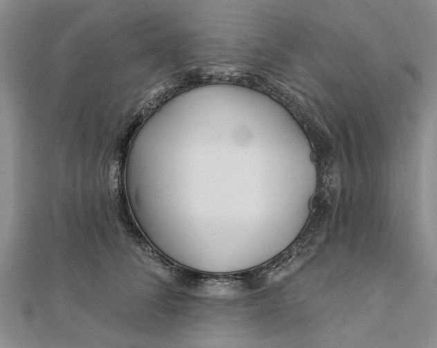 X0000112460708200908311329