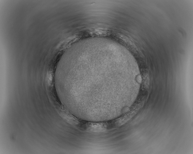 X0000112460709200908311329