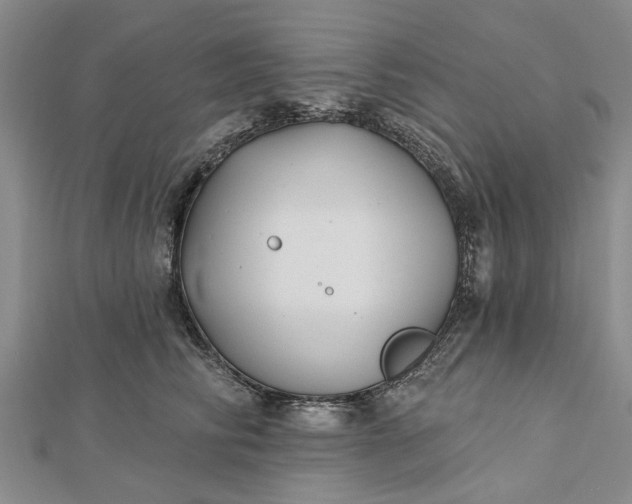 X0000112460710200908311329