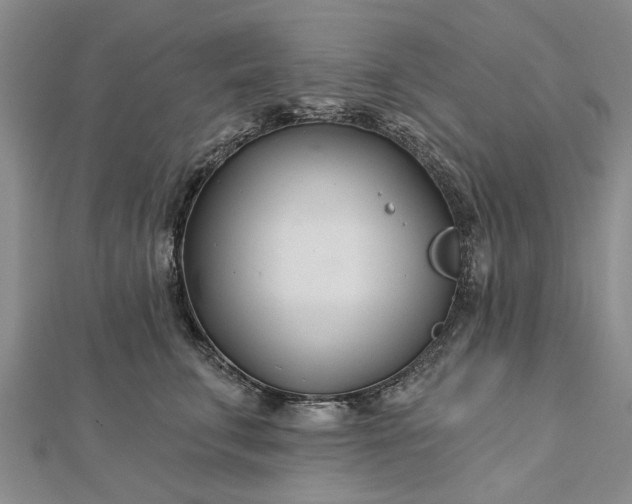 X0000112460711200908311329