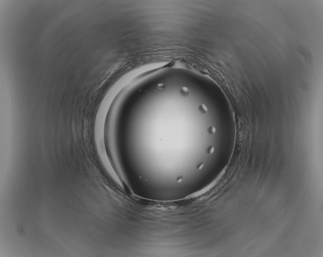 X0000112460712200908311329