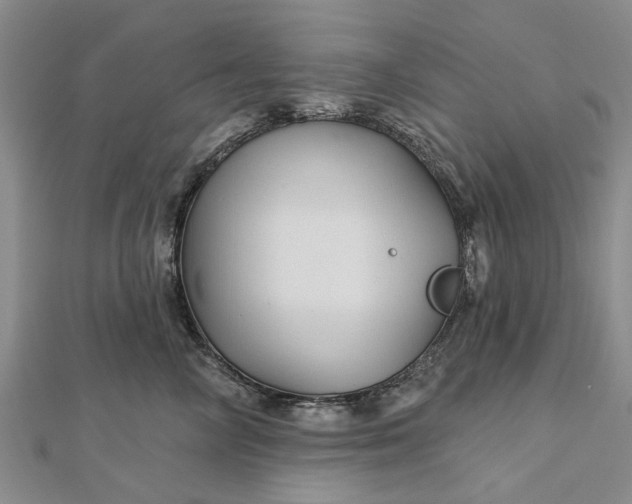 X0000112460714200908311329