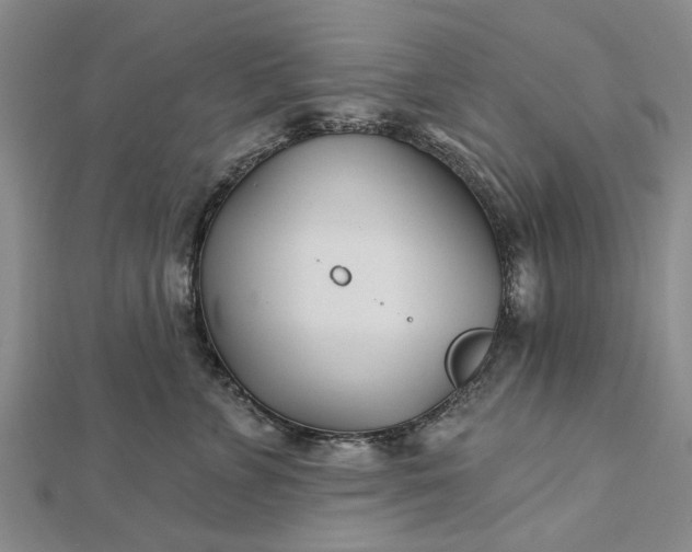 X0000112460715200908311329