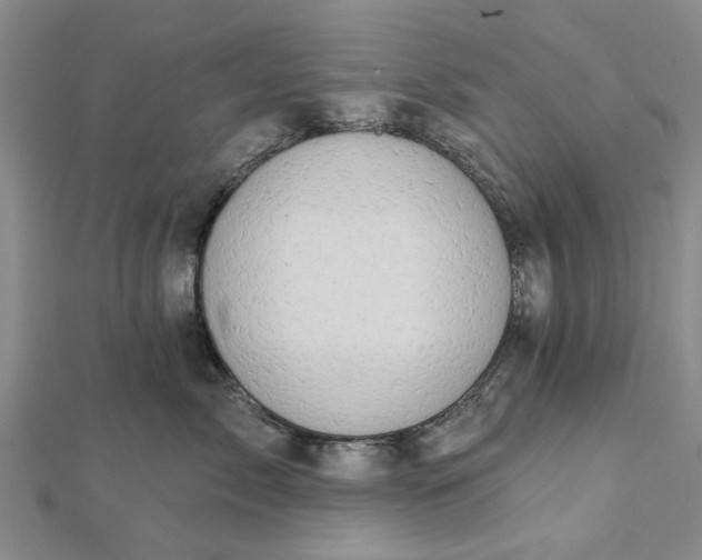 X0000112460717200908311329