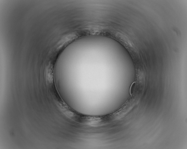 X0000112460719200908311329