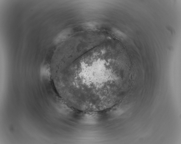 X0000112460720200908311329