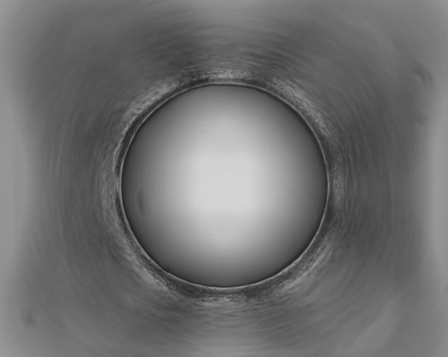 X0000112460721200908311328