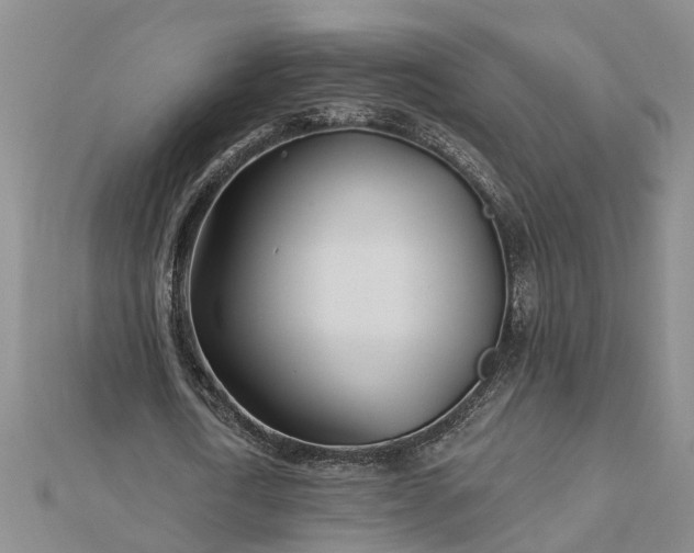 X0000112460722200908311328