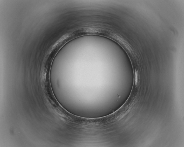 X0000112460723200908311328