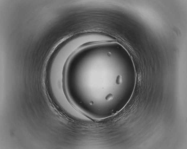 X0000112460724200908311329