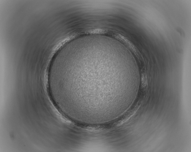 X0000112460725200908311329