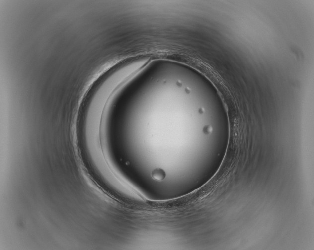 X0000112460726200908311329