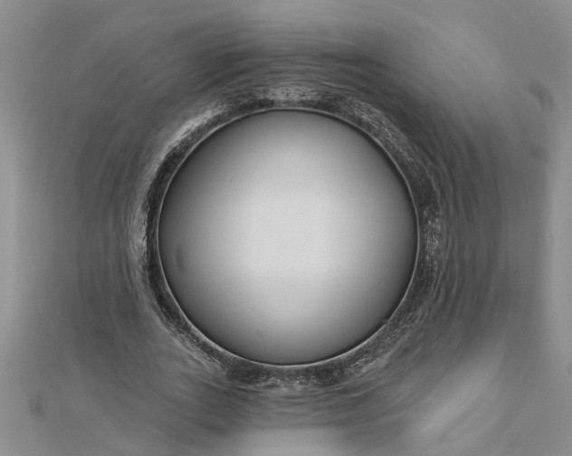 X0000112460727200908311329